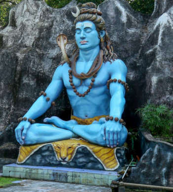 Revolutionizing Network Efficiency: TKTEI’s Success with NETGEAR